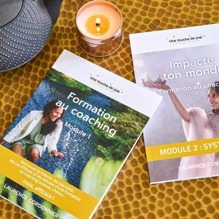 se former constellation familiale systemique