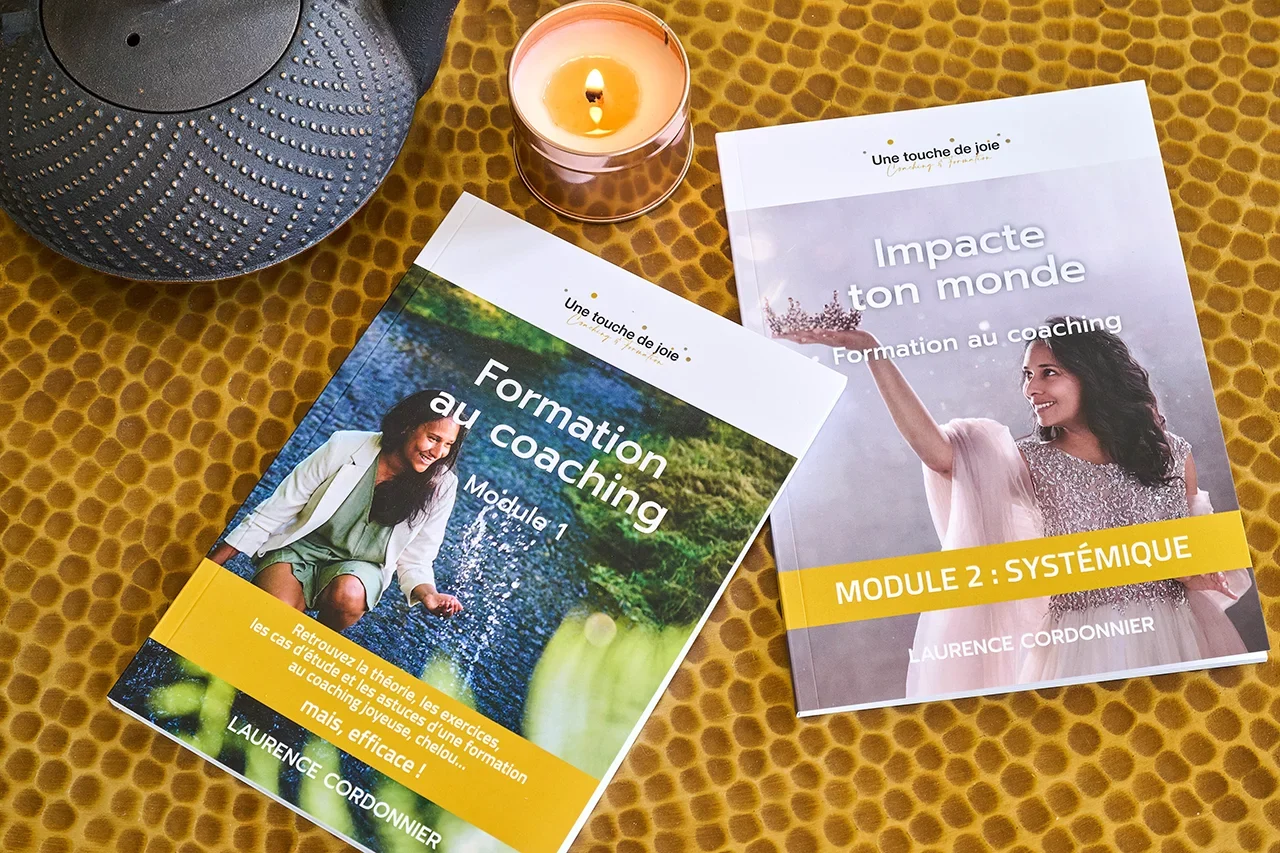 se former constellation familiale systemique